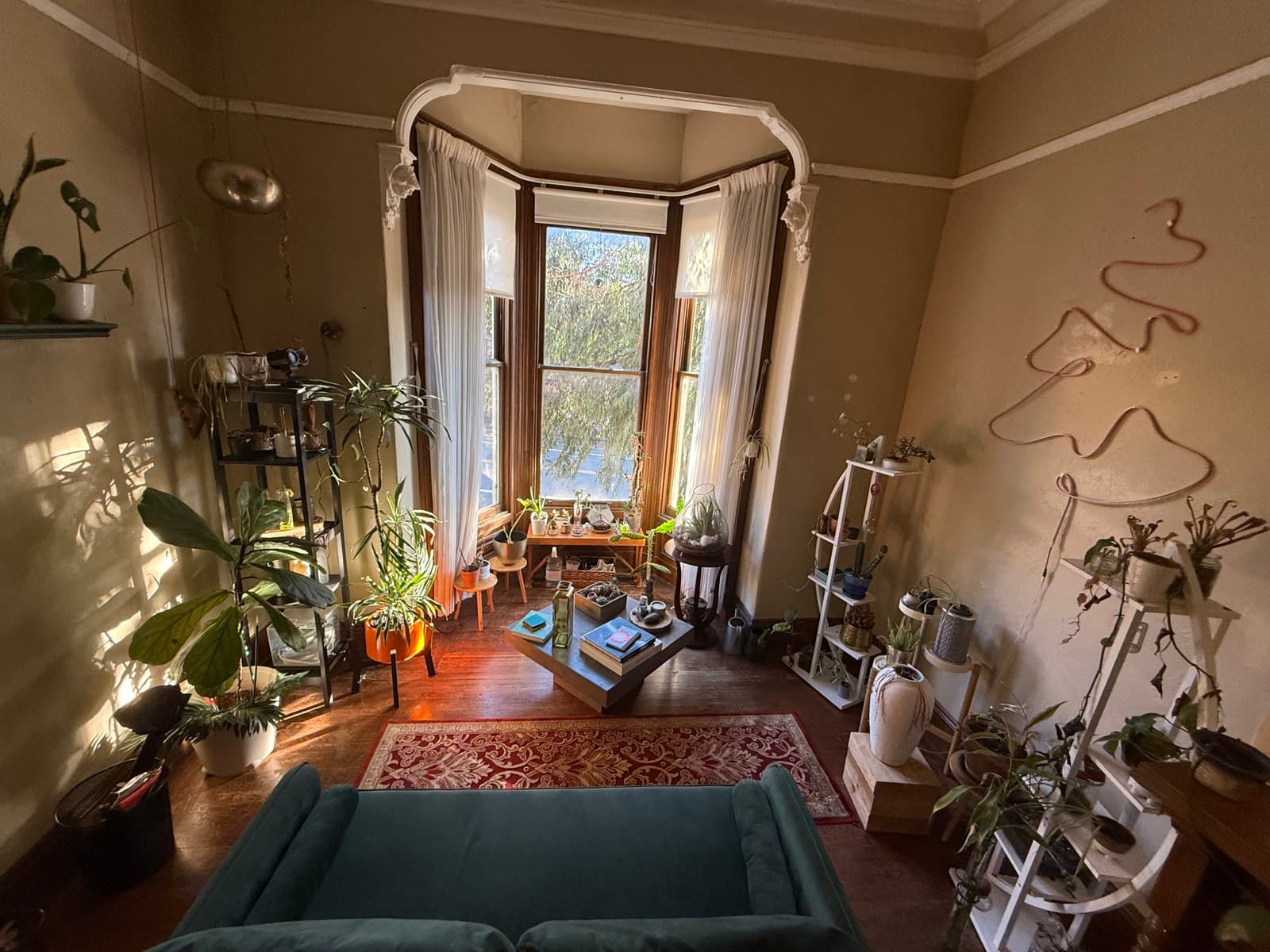 Sunlit room filled with plants and a bay window